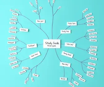 Mapa mental no Canva: guia claro com exemplos para estudar
