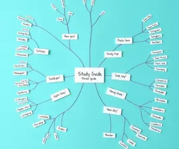 Mapa mental no Canva: guia claro com exemplos para estudar