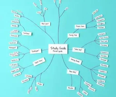 Mapa mental no Canva: guia claro com exemplos para estudar