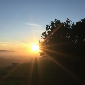 Na manhã desta sexta