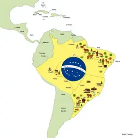 O que é Brasil Colônia: significado, exemplos e resumo para prova