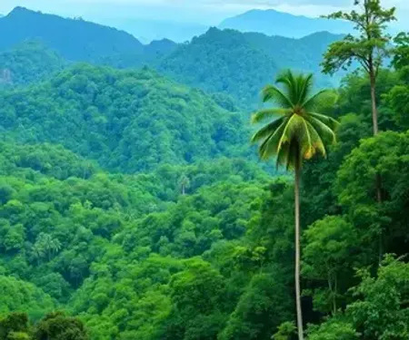 O que é Amazônia: significado, exemplos e resumo para prova