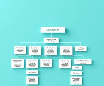 Semestre escolar como funciona: resposta direta para estudantes