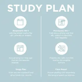 Plano de estudos para iniciantes: guia claro com exemplos para estudar