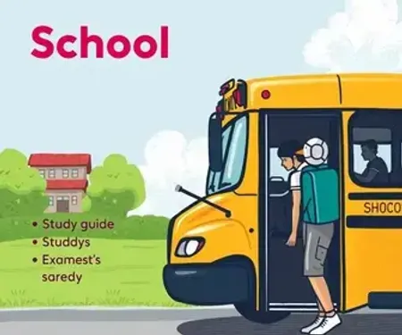 Transporte escolar gratuito: guia claro com exemplos para estudar