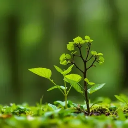 Questões de ecologia com gabarito: pratique com respostas e revisão