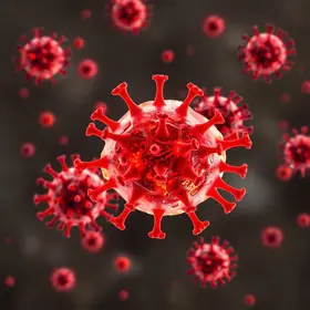 Surto de Ebola é epidemia ou pandemia?