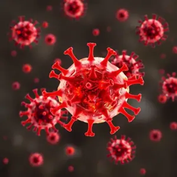 Surto de Ebola é epidemia ou pandemia?