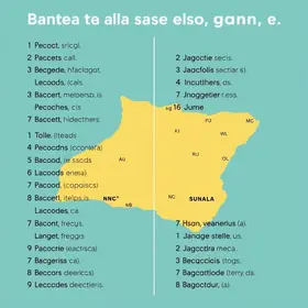 Resumo de crase para prova: guia claro com exemplos para estudar