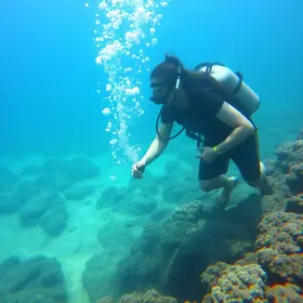 Biologia Marinha: existe graduação? Veja como atuar na área