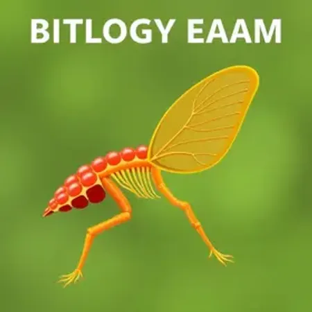Prova de Biologia para estudar: guia claro com exemplos para estudar